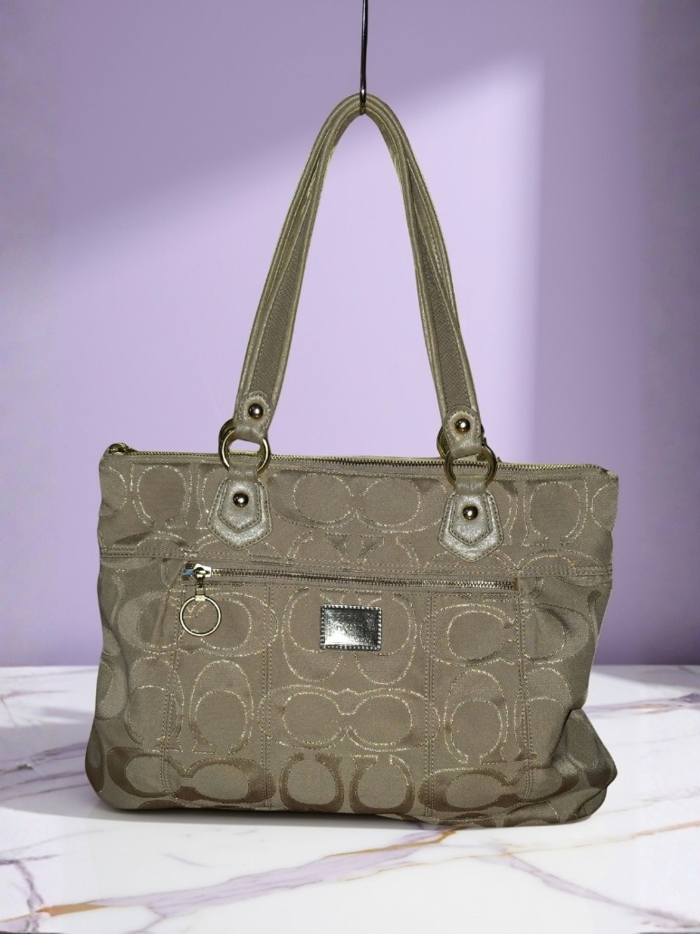 Coach Signature Canvas Tote Bag